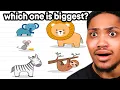Brain Test Tricky Puzzles