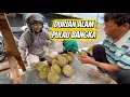Lagu DURIAN ALAM PULAU BANGKA