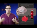 PALS Cardiac Arrest Algorithm