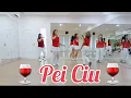 Download Lagu PEI CIU DANGDUT - Line dance