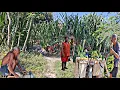 Download Lagu Sebuah Desa Kuno‼️Rumah Mencil,Hidup Di Rumah Sendiri,Perkampungan Pinggir Hutan Suku Jawa indonesia