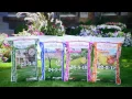 4 Steps To A Green Lawn