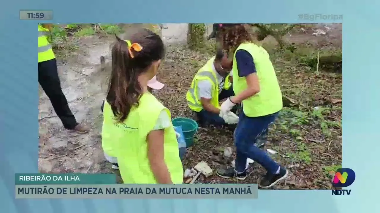 Mutirão de limpeza em praia do Ribeirão da Ilha, em Florianópolis, é realizado nesta quinta-feira