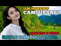 Lagu 1 JAM NONSTOP CAMPURSARI KOPLO DANGDUT JAWA TERBARU 2025