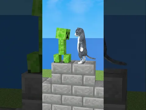 Cat in the Minecraft #funny #animation