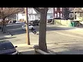 Bullet holes litter Lynn Massachusetts neighborhood after teen shooting