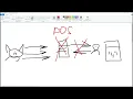 DoS Python 1
