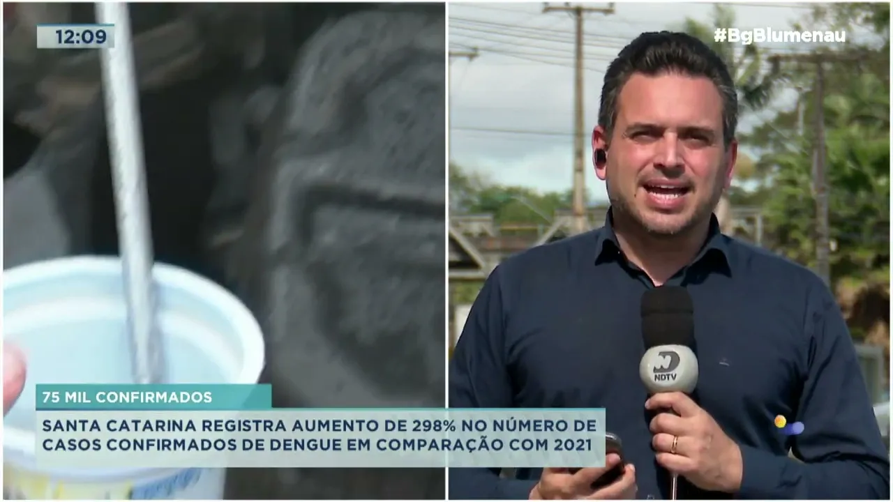 75 mil confirmados: Santa Catarina registra aumento no número de casos confirmados de dengue