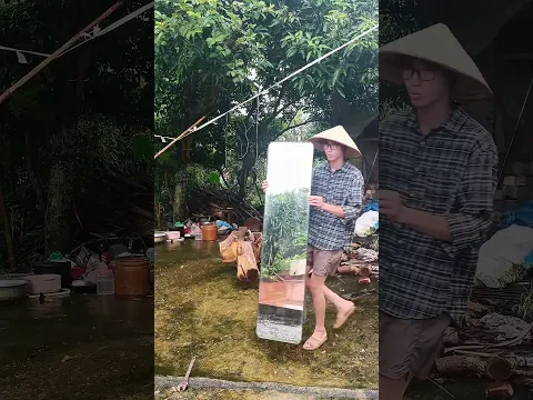 Thử làm theo thí nghiệm triệu view trên mạng 😱😱😱 #shorts