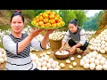 Download Lagu アヒルの卵を収穫！トマト煮卵にして市場で販売🥚🍅