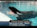 Deadly Attack at Sea World