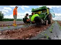 Download Lagu The next BIG planting on the farm
