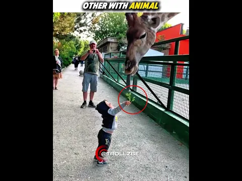 Other Best Kindness With Animal V's This One #shorts ##usa