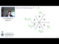 Reflection Groups and Coxeter Geometries