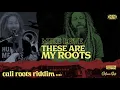 Mike Love - These Are My Roots | Cali Roots Riddim 2020 (Produced by Collie Buddz)