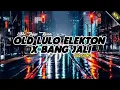 Download Lagu Dj Terbaru Lulo Elekton X Bang Jali | Viral TikTok 2021 Slow Bass - (Abi Ziggi) New Remix