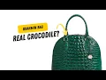 Real Crocodile Leather Brahmin Leather Bag Review