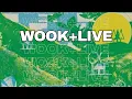 wook live Summer Tour Phish 2026 Rundown and Recap with Benjy Eisen
