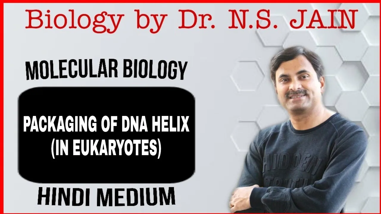 Packaging of DNA Helix (In Eukaryotes) Molecular Biology | Hindi Medium