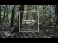 Nature Sounds for 1 Hour - Canadian Forest Birds Chirping - 4K HD Nature Video - Relax
