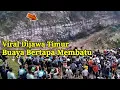 Download Lagu Jatim Viral !! Buaya Bertapa Menjadi Batu Dipinggir Jalan Raya