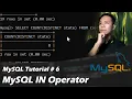 SQL Tutorial 6 IN Operator - CodeLikeLD Tagalog Tutorials