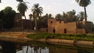 جوابات الاسطى حراجي القط كاملة 