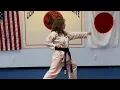 White belt kata - Taikyoku Tutorial