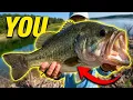 The Giants Are NOT Where You Think Bull Shoals Bass Fishing Tips
