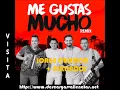 ME GUSTAS MUCHO REMIX  / JORGE CELEDON + ALKILADOS