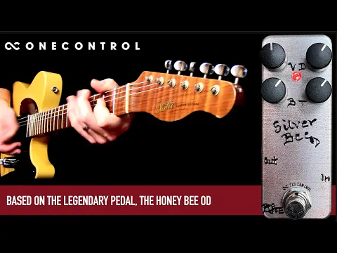One Control Silver Bee 4K Mini Overdrive | Delicious Audio