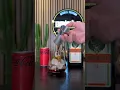 Download Lagu How to Drink Jägermeister 🍁 to click description #reels #drink #asmr #shorts #jagermeister #bar