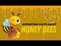 The Truth About Queen Bees and Worker Bees Explained