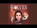 Download Lagu Wolves (Rusko Remix)