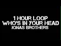 Jonas Brothers - Who's In Your Head (1 Hour Loop)