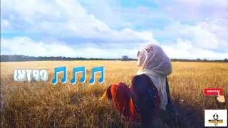 aisyah istri rasullullah versi bugis cover by daeng aris lirik dan terjemahan