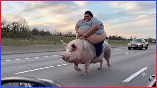 World's *HARDEST* TRY NOT TO LAUGH Challenge! (IMPOSSIBLE) | Best Funny Videos Of 2026 😂