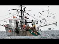 NOAA report Gulf of Maine warming slowed for now but ecosystem remains unstable