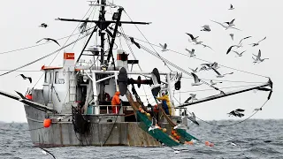 NOAA report Gulf of Maine warming slowed for now but ecosystem remains unstable