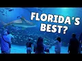 Is This Florida s Best New Attraction The New Mote Aquarium