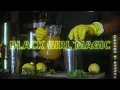 Kizz Daniel - Black Girl Magic (Official Lyric Video)