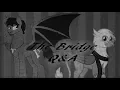 The Bridge Q A ft Tarbtano