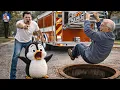 Lagu An Old Man Was Trapped Under a Sewer for 12 Hours—A Penguin Rescued Him in Just 12 Seconds