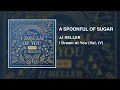 JJ Heller - A Spoonful Of Sugar (Official Audio Video) - Julie Andrews / Disney's Mary Poppins Cover