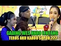 Download Lagu GADING DAN LINTANG BIKIN ELISHA MERANA, KECIL KECIL DAPAT DULUAN ful gayeng