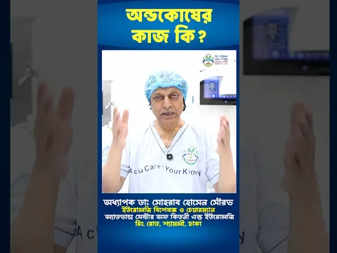 অন্ডকোষের কাজ কি? #shorts