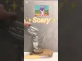HOW ANIMAL JAM WAS MADE