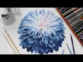 The Skill You Need for Realistic Colored Pencil Drawings