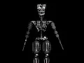Springlock Endoskeleton Test