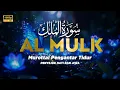Download Lagu Bacaan Lembut Surat Al Mulk سورة الملك untuk Melepaskan Penat, Penenang hati dan Pikiran mu